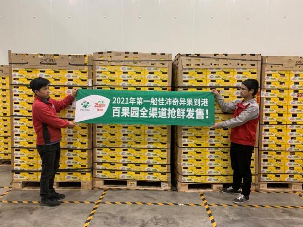 2021年新产季佳沛奇异果上市 百果园连续4年抢鲜发售