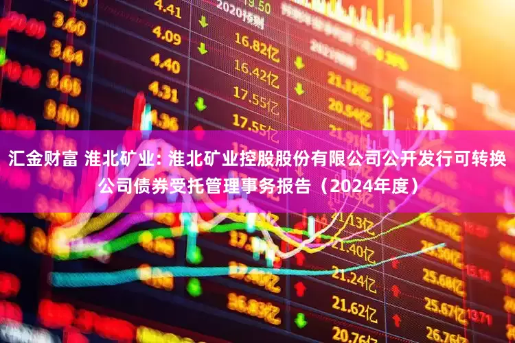 汇金财富 淮北矿业: 淮北矿业控股股份有限公司公开发行可转换公司债券受托管理事务报告(2024年度)