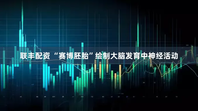 联丰配资 “赛博胚胎”绘制大脑发育中神经活动